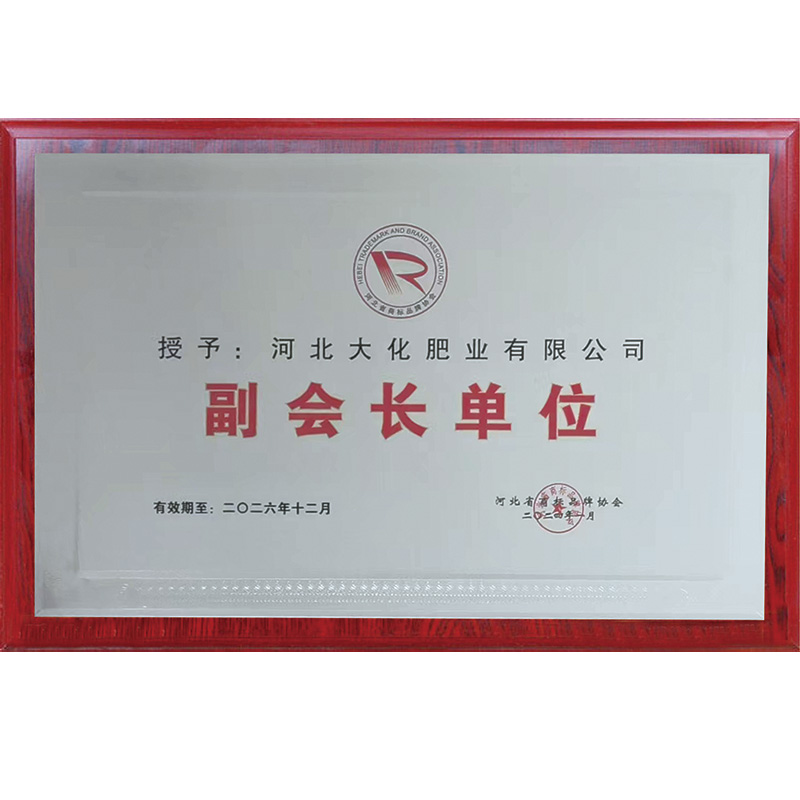 授予河北大化副会长单位2024年1月